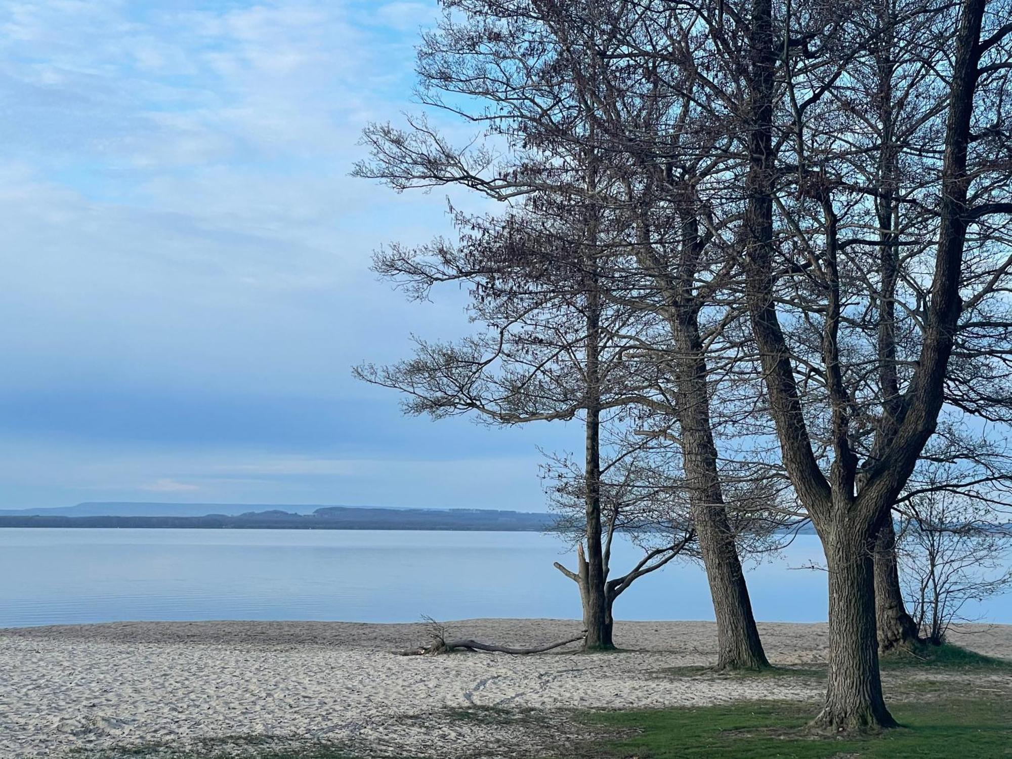 Strandhotel Weisser Berg Neustadt am Rübenberge エクステリア 写真
